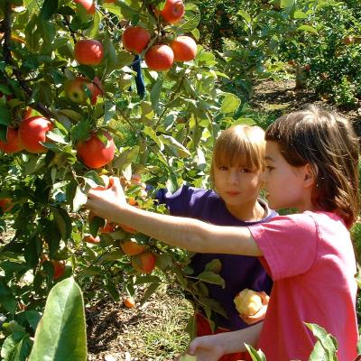 Kids in nature